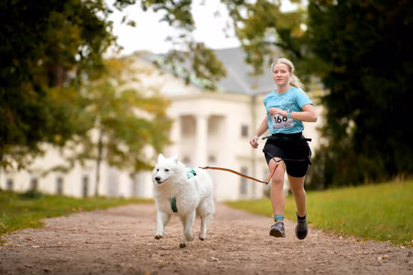 CaniKačinaCross 2026 – 11. října 2026