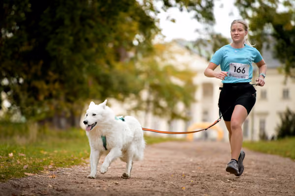 CaniKačinaCross 2026 – 11. října 2026