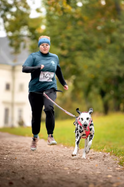 CaniKačinaCross 2026 – 11. října 2026