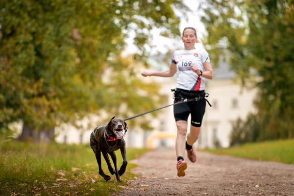 CaniKačinaCross 2026 – 11. října 2026