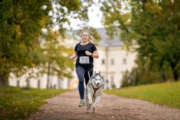 CaniKačinaCross 2026 – 11. října 2026