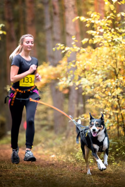 Psina v běhu – CC
