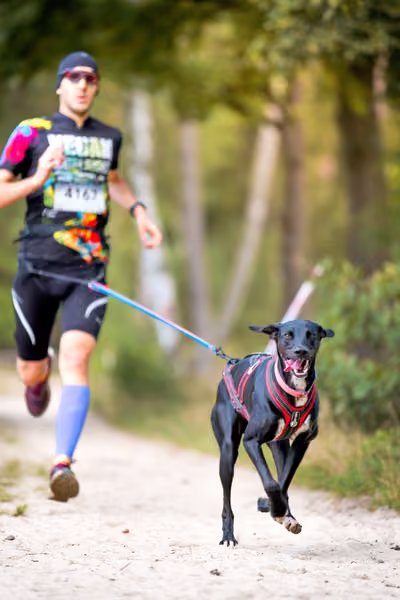 Leskros Mácháč 2026 — Leskros Mácháč - Neděle – CC