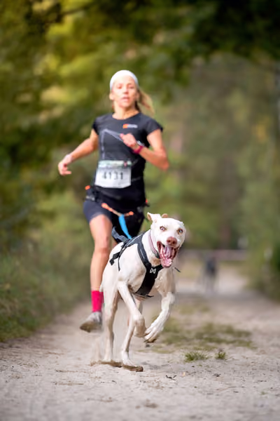 Leskros Mácháč 2026 — Leskros Mácháč - Neděle – CC
