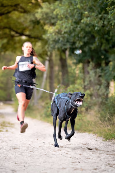 Leskros Mácháč 2026 — Leskros Mácháč - Neděle – CC