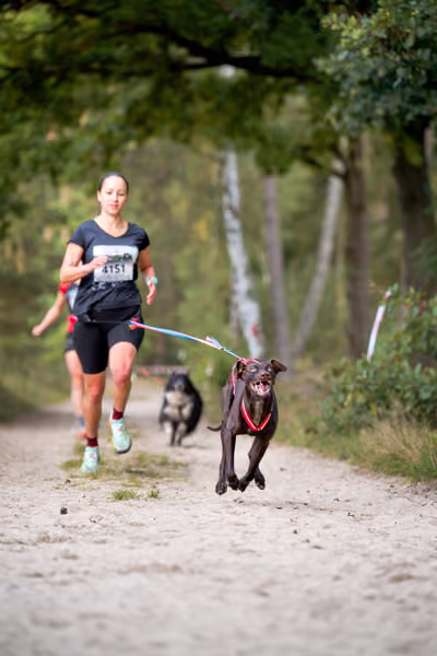 Leskros Mácháč 2026 — Leskros Mácháč - Neděle – CC