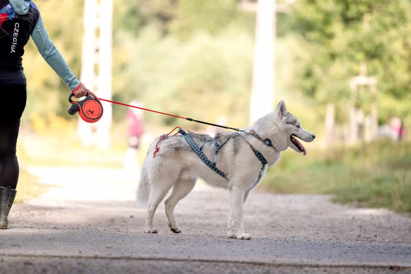 Leskros Mácháč 2026 — Leskros Mácháč - Neděle – Cílovky