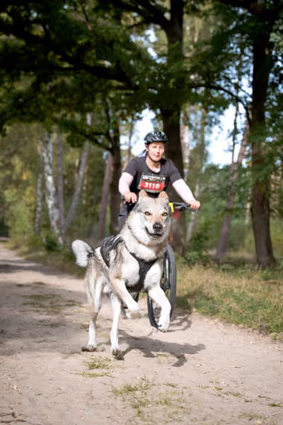 Leskros Mácháč 2026 — Leskros Mácháč - Neděle – ČSV