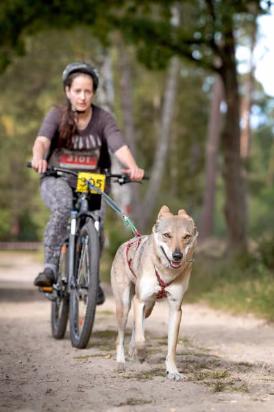 Leskros Mácháč 2026 — Leskros Mácháč - Neděle – ČSV