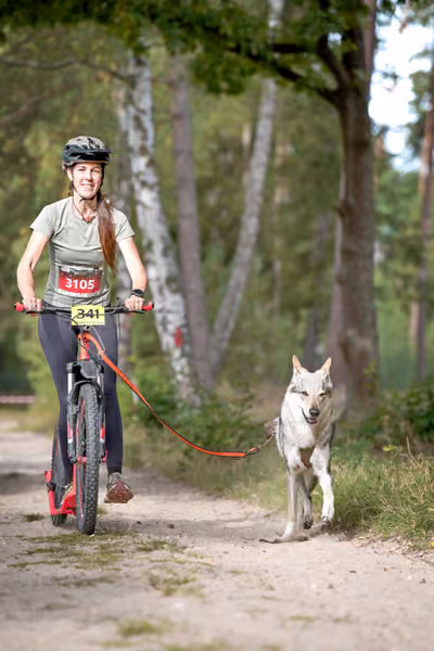 Leskros Mácháč 2026 — Leskros Mácháč - Neděle – ČSV