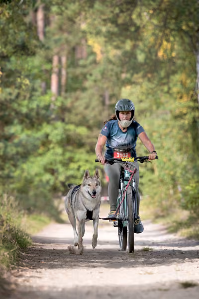 Leskros Mácháč 2026 — Leskros Mácháč - Neděle – ČSV