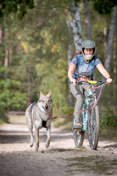Leskros Mácháč 2026 — Leskros Mácháč - Neděle – ČSV