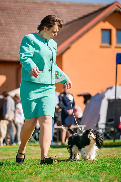 Krajská výstava psů Němčice u Kolína – 1. května 2026