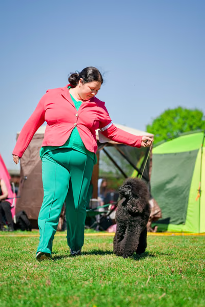 Krajská výstava psů Němčice u Kolína – 1. května 2026