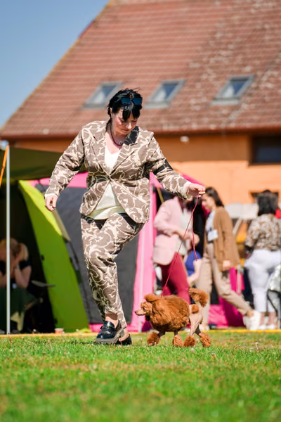 Krajská výstava psů Němčice u Kolína – 1. května 2026