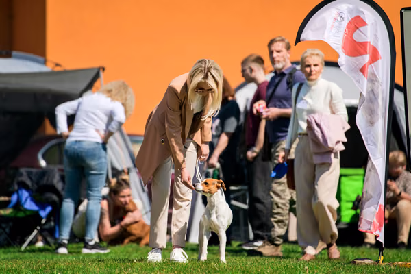 Krajská výstava psů Němčice u Kolína – 1. května 2026