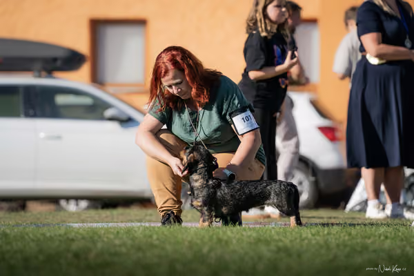 Krajská výstava všech plemen Němčice u Kolína – BIS