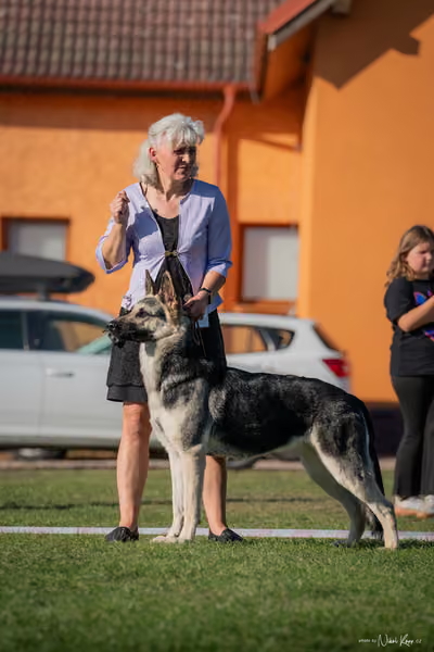Krajská výstava všech plemen Němčice u Kolína – BIS