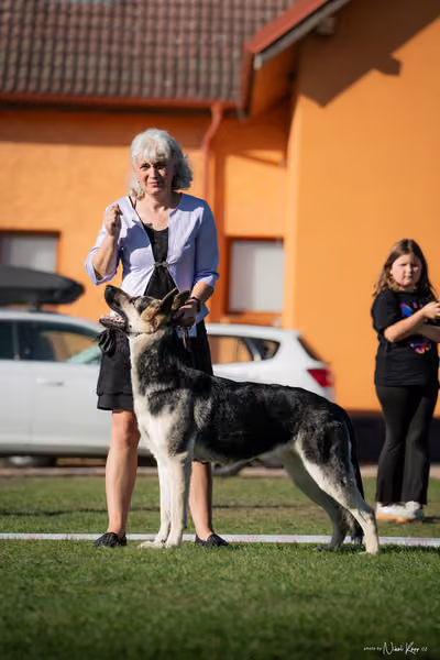 Krajská výstava všech plemen Němčice u Kolína – BIS