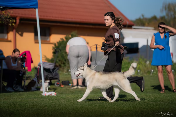 Krajská výstava všech plemen Němčice u Kolína – 5 FCI