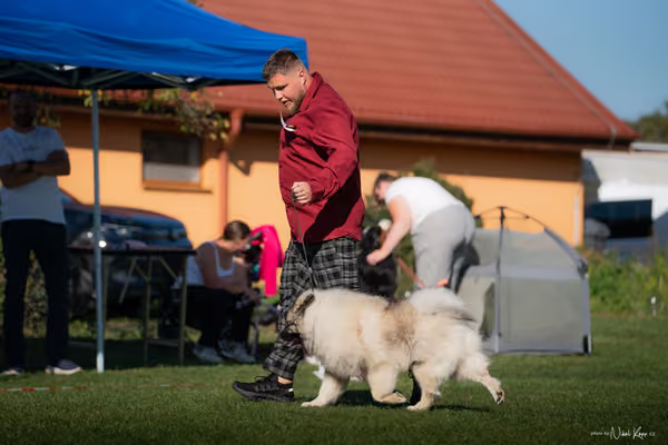 Krajská výstava všech plemen Němčice u Kolína – 5 FCI