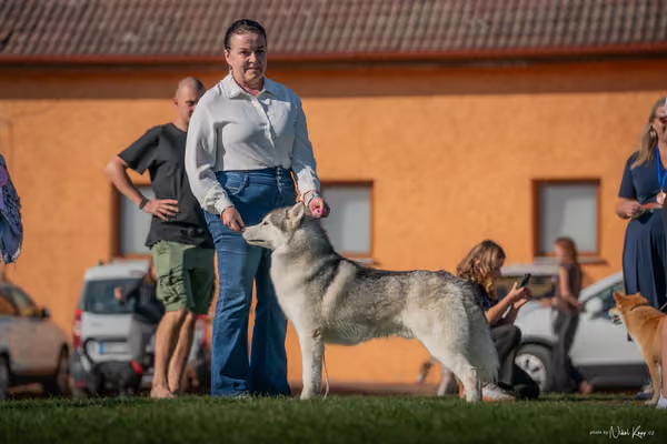 Krajská výstava všech plemen Němčice u Kolína – 5 FCI