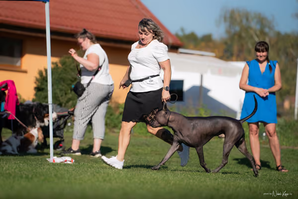 Krajská výstava všech plemen Němčice u Kolína – 5 FCI