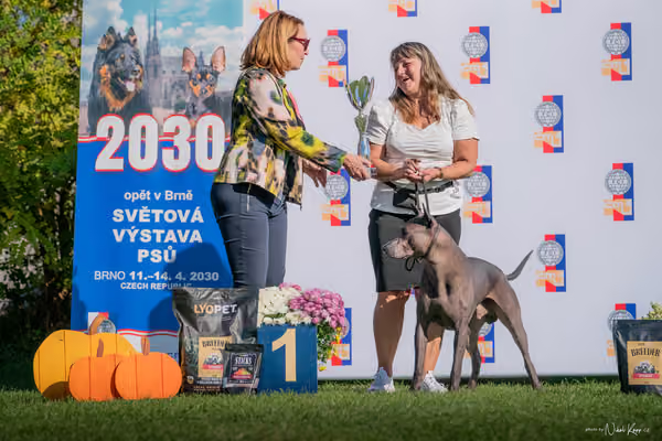 Krajská výstava všech plemen Němčice u Kolína – 5 FCI