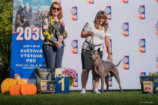 Krajská výstava všech plemen Němčice u Kolína – 5 FCI