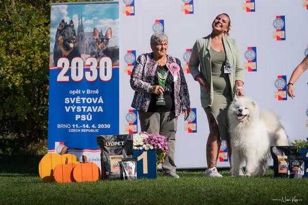 Krajská výstava všech plemen Němčice u Kolína – Veterán
