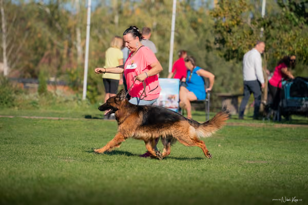 Krajská výstava všech plemen Němčice u Kolína – 1 FCI