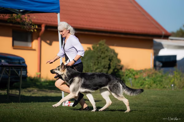 Krajská výstava všech plemen Němčice u Kolína – NON FCI