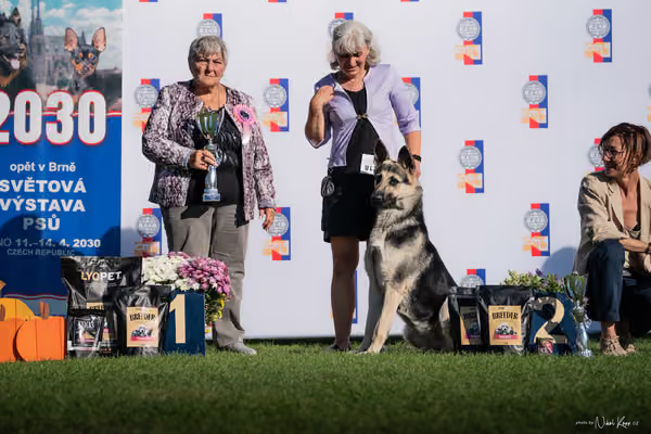 Krajská výstava všech plemen Němčice u Kolína – NON FCI