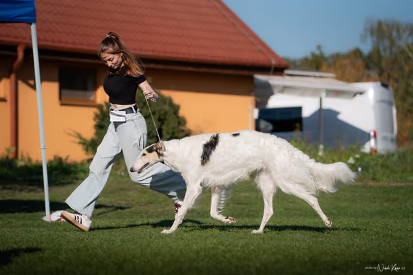 Krajská výstava všech plemen Němčice u Kolína – 10 FCI