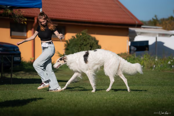 Krajská výstava všech plemen Němčice u Kolína – 10 FCI