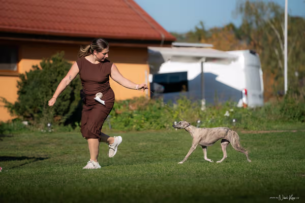 Krajská výstava všech plemen Němčice u Kolína – 10 FCI