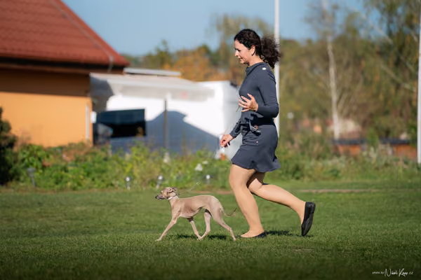 Krajská výstava všech plemen Němčice u Kolína – 10 FCI