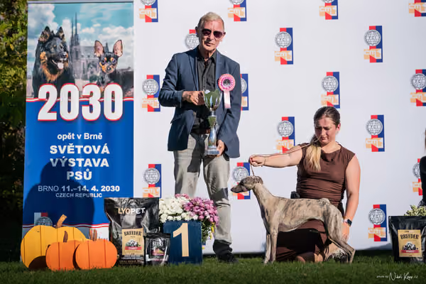 Krajská výstava všech plemen Němčice u Kolína – 10 FCI