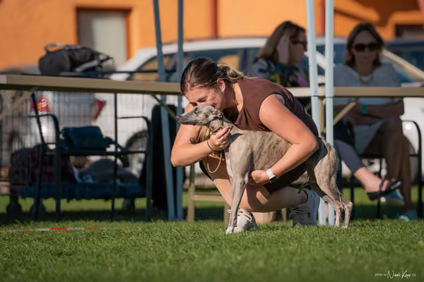 Krajská výstava všech plemen Němčice u Kolína – 10 FCI