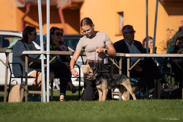 Krajská výstava všech plemen Němčice u Kolína – 3 FCI