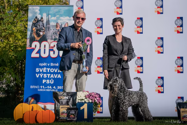 Krajská výstava všech plemen Němčice u Kolína – 3 FCI