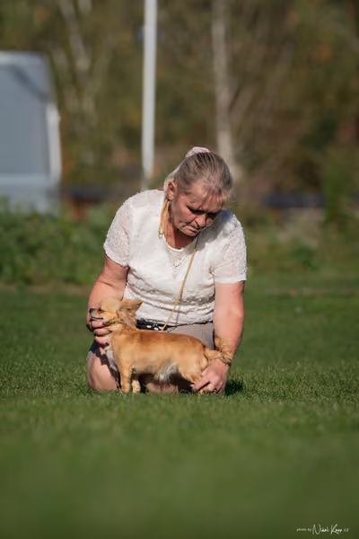 Krajská výstava všech plemen Němčice u Kolína – 9 FCI