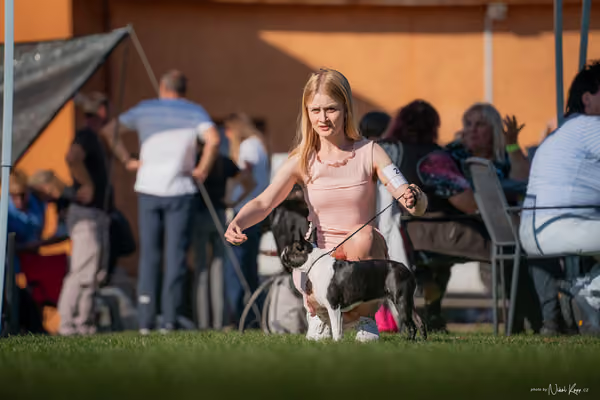 Krajská výstava všech plemen Němčice u Kolína – 9 FCI