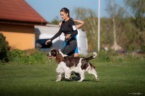 Krajská výstava všech plemen Němčice u Kolína – 8 FCI