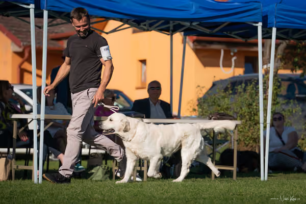 Krajská výstava všech plemen Němčice u Kolína – 8 FCI
