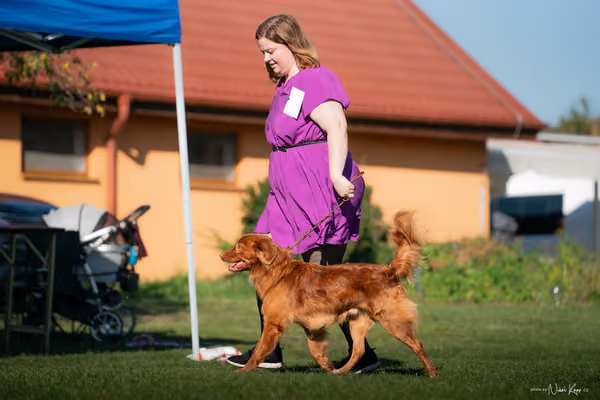 Krajská výstava všech plemen Němčice u Kolína – 8 FCI