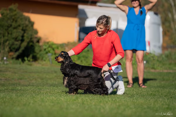 Krajská výstava všech plemen Němčice u Kolína – 8 FCI