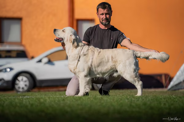 Krajská výstava všech plemen Němčice u Kolína – 8 FCI