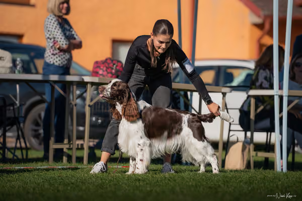 Krajská výstava všech plemen Němčice u Kolína – 8 FCI