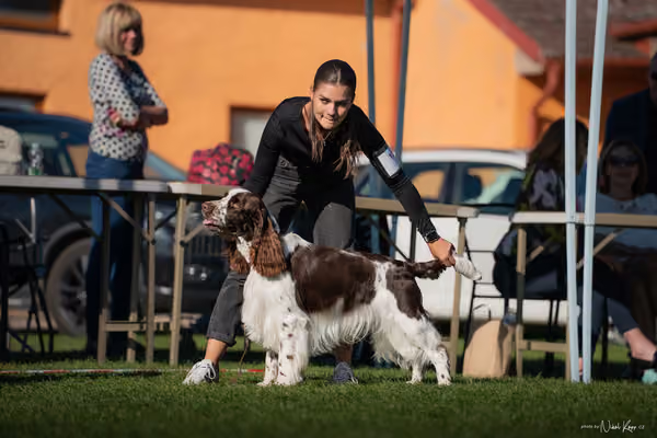Krajská výstava všech plemen Němčice u Kolína – 8 FCI